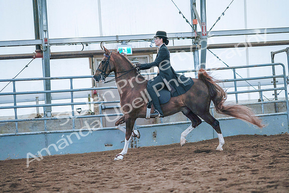 July 20, 2019 - 24153