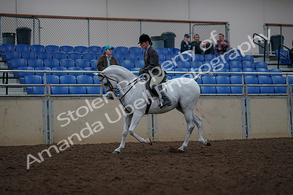 2019 Morgan Horse Show - Aug 31, 2019 - 14886