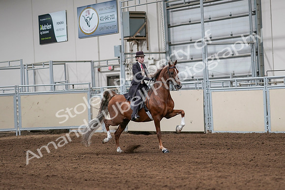 2020 - AB Morgan Horse - Sat, Sept 05 - 06425