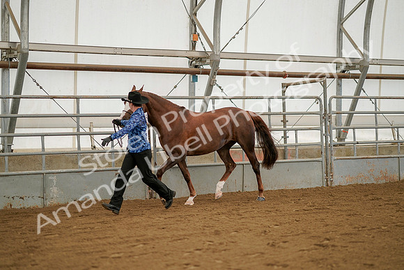July 19, 2019 - 1262