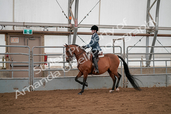 July 19, 2019 - 2482