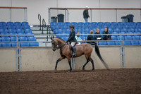 2019 Morgan Horse Show - Aug 31, 2019 - 08052