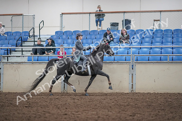 2019 Morgan Horse Show - Aug 31, 2019 - 09647