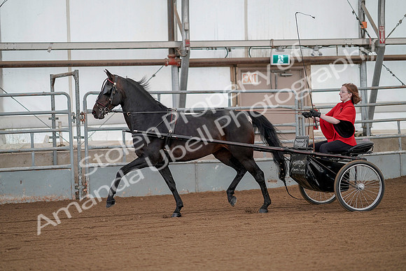 July 20, 2019 - 00132
