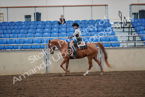 2019 Morgan Horse Show - Aug 30, 2019 - 16859