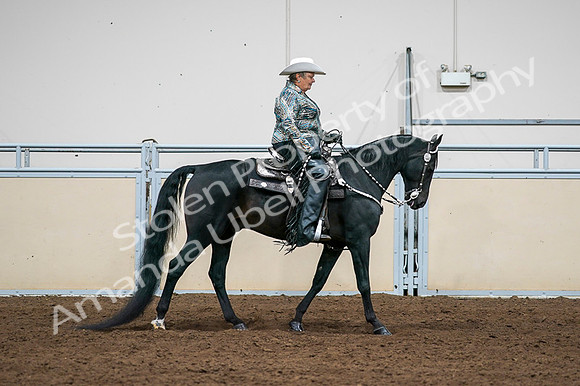 2020 - AB Morgan Horse - Fri, Sept 04 - 03540