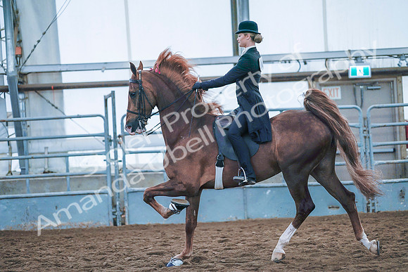 July 20, 2019 - 24013