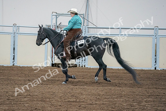 2020 - AB Morgan Horse - Fri, Sept 04 - 00483