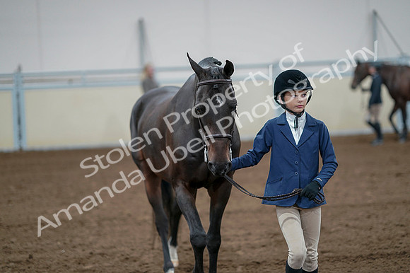 2020 - AB Morgan Horse - Fri, Sept 04 - 00772
