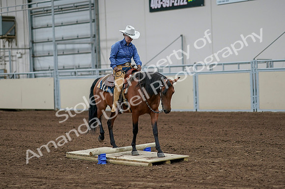 2020 - AB Morgan Horse - Fri, Sept 04 - 00238