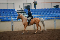 2019 Morgan Horse Show - Aug 30, 2019 - 22173