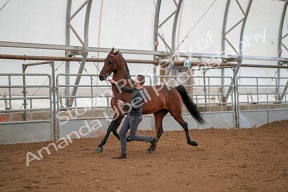 July 19, 2019 - 1163
