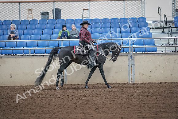 2019 Morgan Horse Show - Aug 31, 2019 - 10684