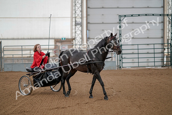 July 20, 2019 - 00172