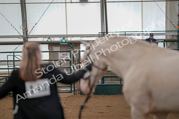July 19, 2019 - 374
