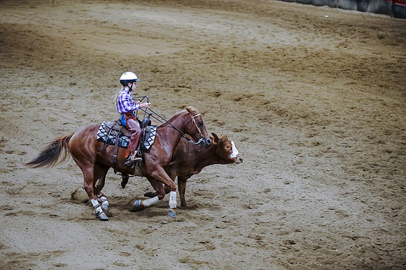 DSC09237