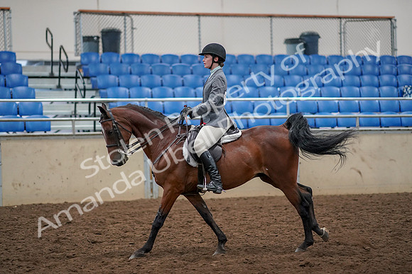 2019 Morgan Horse Show - Aug 30, 2019 - 23456