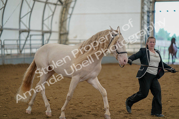 July 19, 2019 - 1156