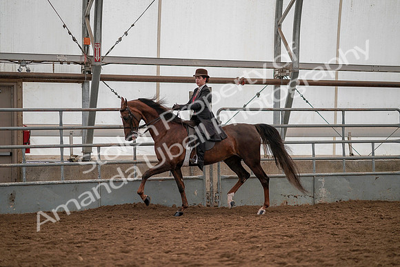 July 19, 2019 - 13008