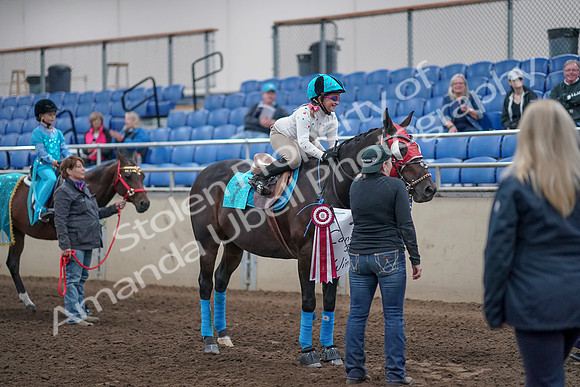 2019 Morgan Horse Show - Aug 31, 2019 - 10150