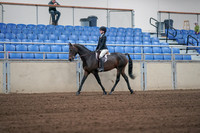 2019 Morgan Horse Show - Sept 01, 2019 - 03649