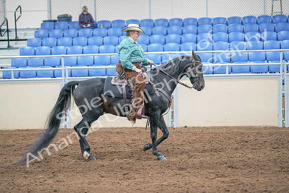2020 - AB Morgan Horse - Sun, Sept 06 - 01641