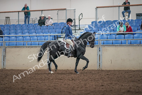 2019 Morgan Horse Show - Aug 31, 2019 - 07390