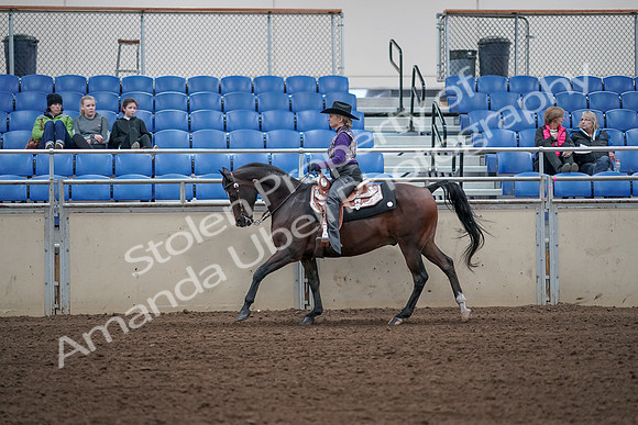 2019 Morgan Horse Show - Aug 31, 2019 - 10641