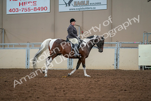 2019 Morgan Horse Show - Aug 30, 2019 - 22577