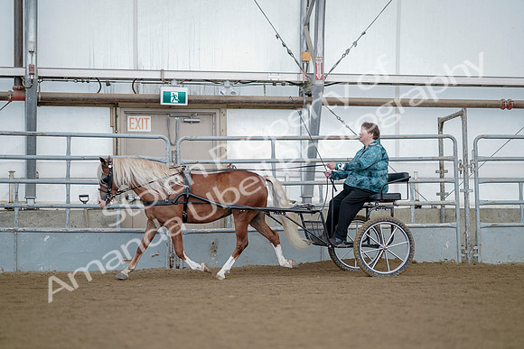 July 21, 2019 - 06769
