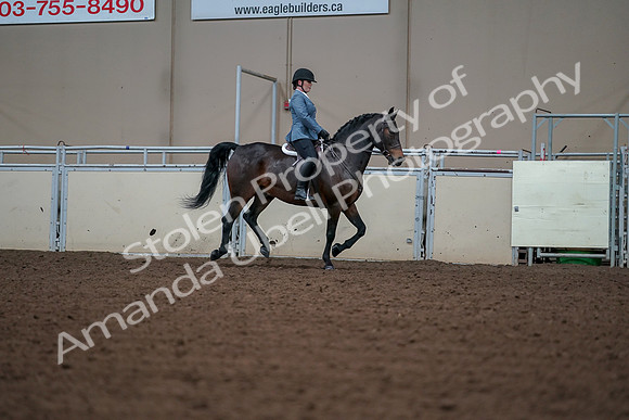 2019 Morgan Horse Show - Aug 30, 2019 - 18589