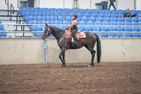 2019 Morgan Horse Show - Sept 01, 2019 - 05737
