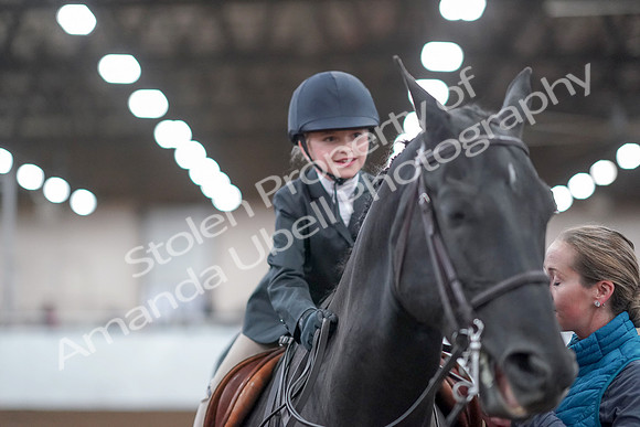 2019 Morgan Horse Show - Aug 31, 2019 - 19746