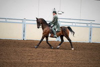 2020 - AB Morgan Horse - Fri, Sept 04 - 03300