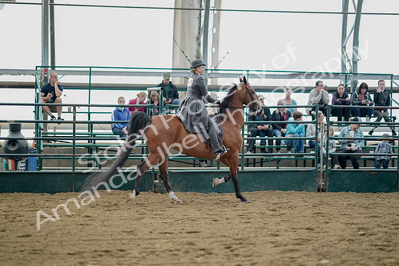 July 21, 2019 - 01856