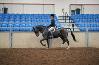 2019 Morgan Horse Show - Aug 30, 2019 - 23115