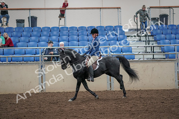 2019 Morgan Horse Show - Aug 31, 2019 - 07356