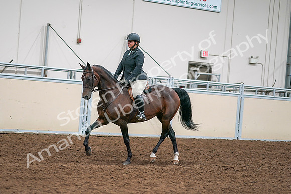 2020 - AB Morgan Horse - Sat, Sept 05 - 09326