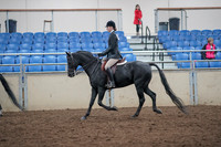 2019 Morgan Horse Show - Aug 31, 2019 - 17140