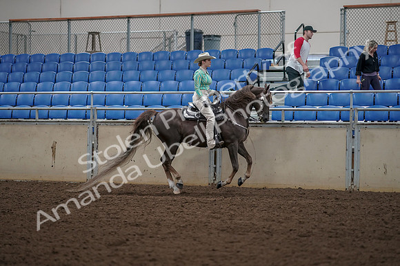 2019 Morgan Horse Show - Aug 30, 2019 - 26151