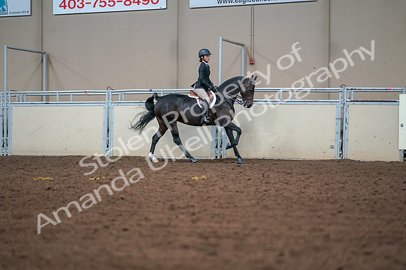 2019 Morgan Horse Show - Aug 30, 2019 - 21082