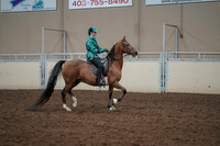 2019 Morgan Horse Show - Aug 30, 2019 - 30643