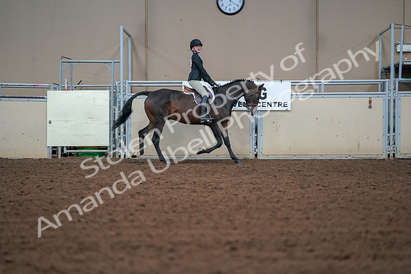 2019 Morgan Horse Show - Aug 30, 2019 - 20687