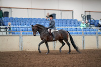 2019 Morgan Horse Show - Aug 30, 2019 - 13882