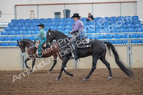 2019 Morgan Horse Show - Aug 30, 2019 - 16897