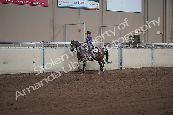 2019 Morgan Horse Show - Aug 31, 2019 - 10577