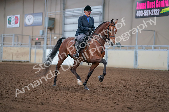 2019 Morgan Horse Show - Aug 30, 2019 - 20890
