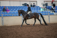 2019 Morgan Horse Show - Aug 30, 2019 - 19863