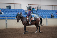 2019 Morgan Horse Show - Aug 31, 2019 - 10536