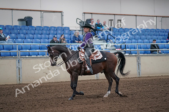 2019 Morgan Horse Show - Aug 31, 2019 - 10536